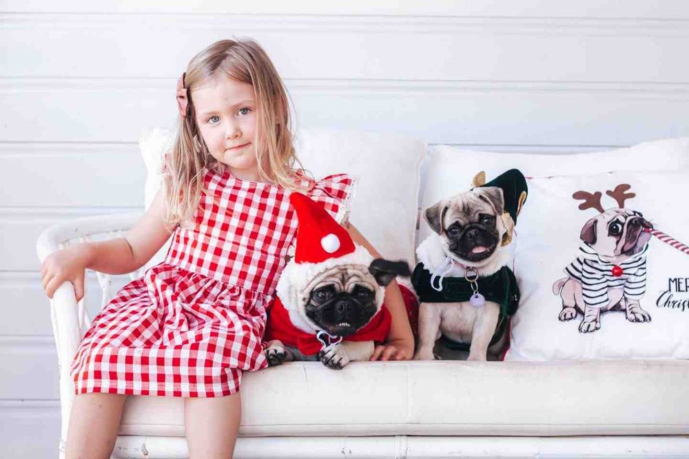 Your Pet - Meet Lady and Nala post image