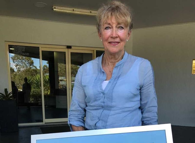 Lynn Hyland brings her art to the Tin Can Bay Country Club for a previous show