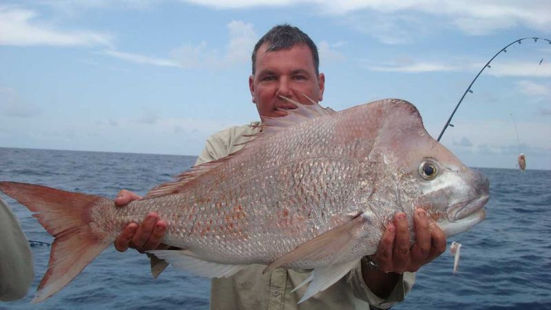 A PB snapper for Michael Brady