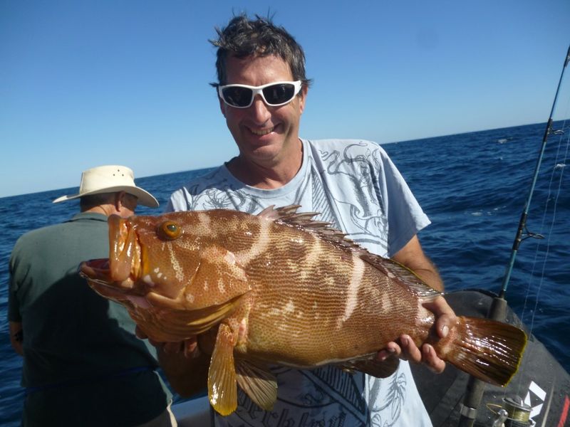 Jude Van de Maal from Gympie with big Maori Cod