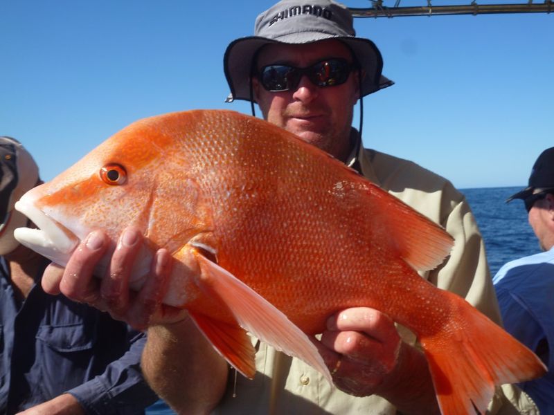 Rainbow Beach Fishing Report September 2015 post image