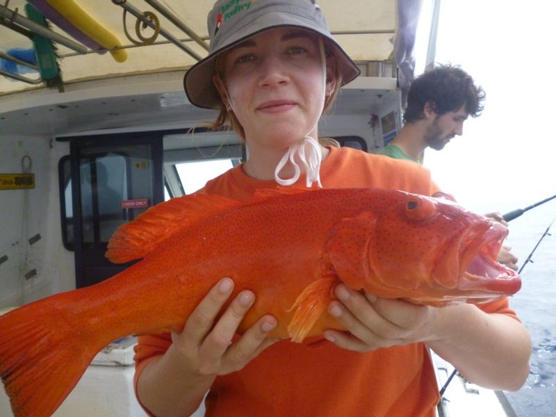 Rainbow Beach fishing report post image