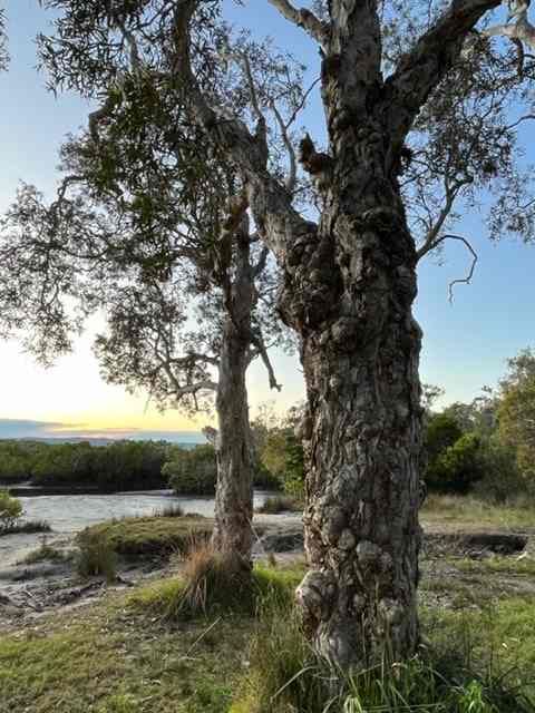 Celebrate our region’s unique biodiversity this month - and every month! Photo taken by Robyn Adam on one of her recent walks