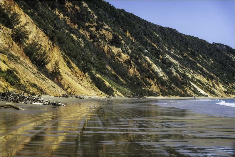 Camera club - Beach Driving - Julie Hartwig