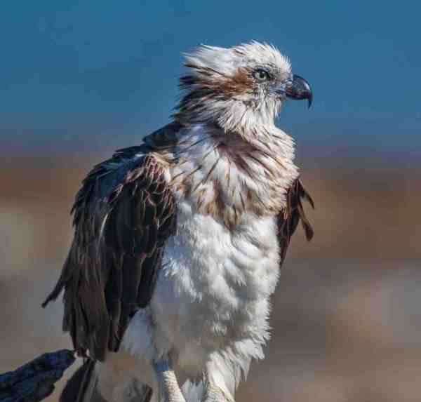 Annual retreat at Hervey Bay post image