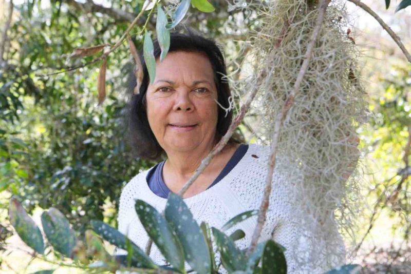 Join Butchulla Elder Nai Nai Bird for a talk about the artworks at the Gympie Regional Gallery exhibition