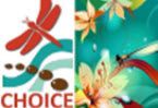 EDUCATION WORKSHOPS & SUPPORT GROUPS post image