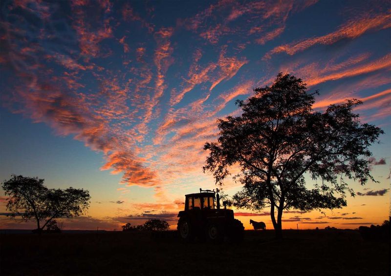 Chris Harvey - Tractor Sunset - A Grade Honour