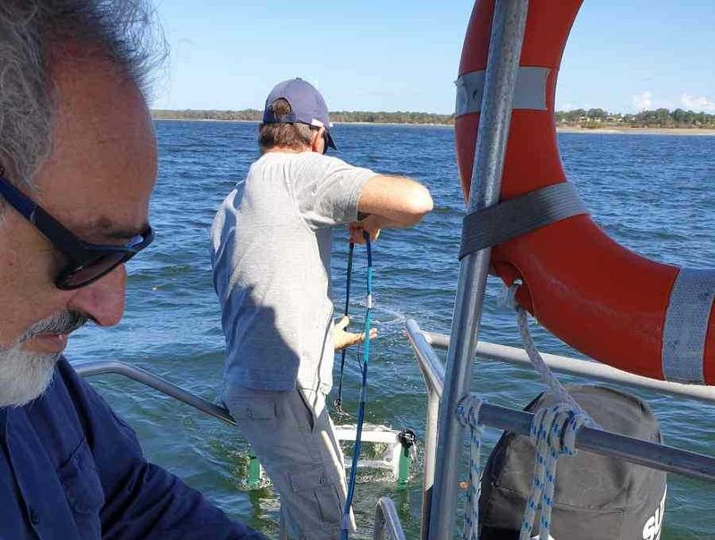 Coastcare VP Tony Galea and scientist Dr James Udy deploying the seagrass sled