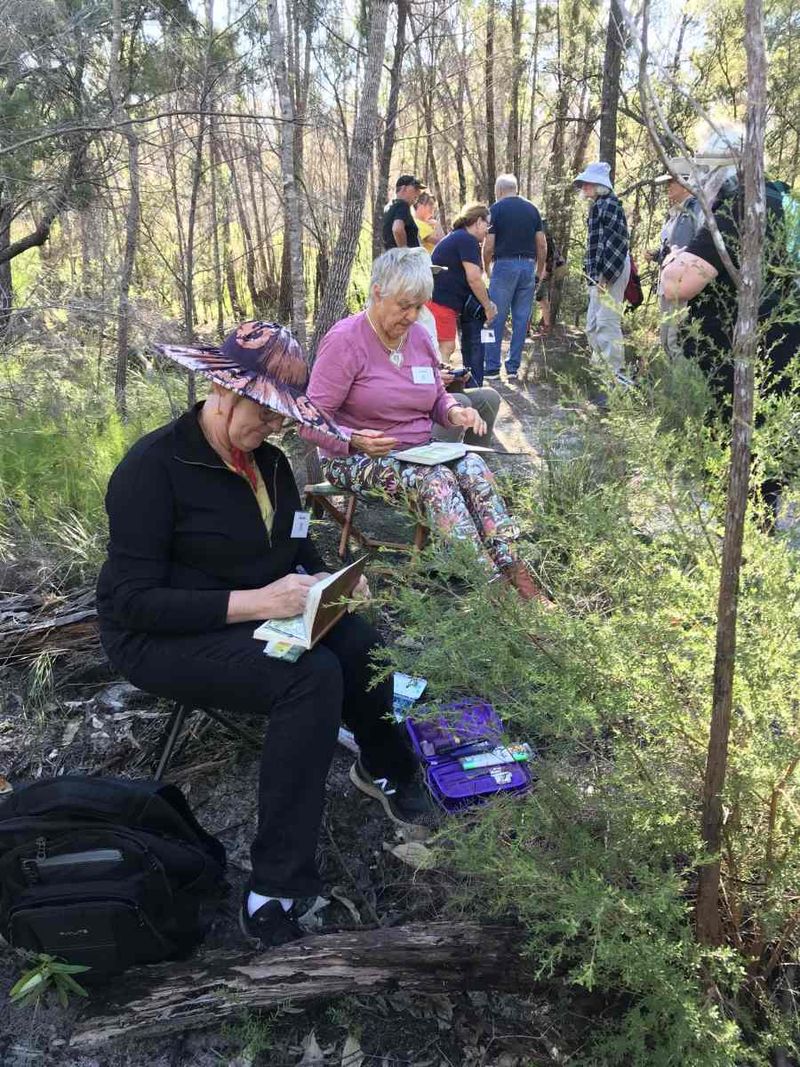 Nature journaling at Cooloola Bioblitz 2021, including artist Sue Davis. Join us in November for this year’s event.