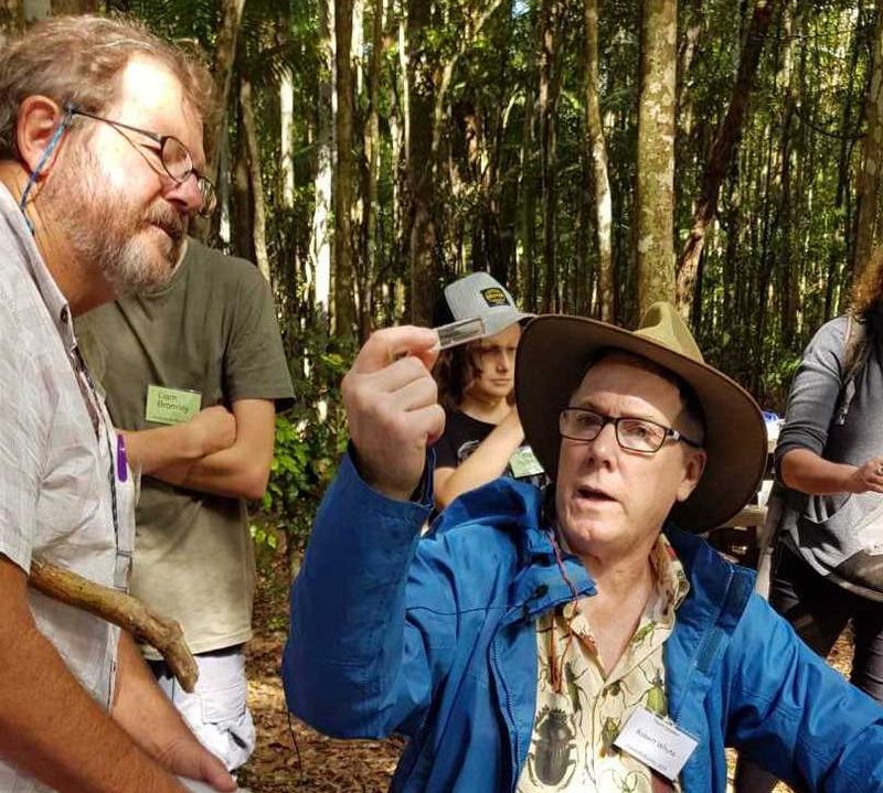 Robert Whyte identifies a tiny spider at Bymien picnic area during the 2019 Cooloola BioBlitz. Photo, Linda Tabe