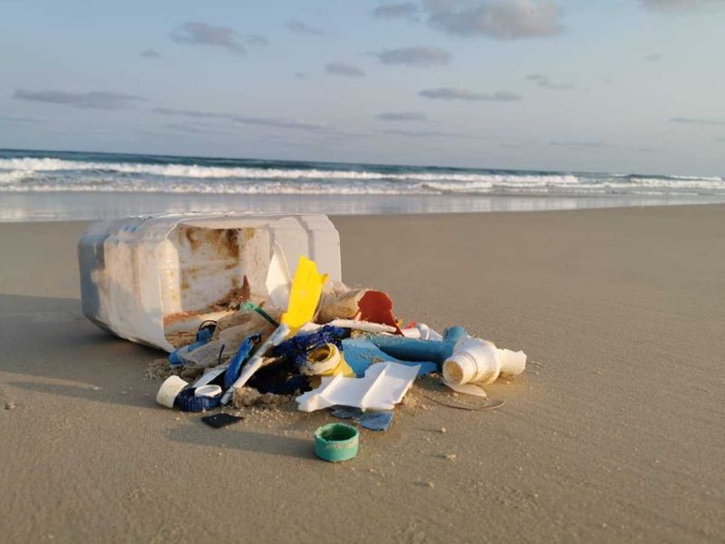 Did you know that Clean Up Australia Day is over 30 years old?!