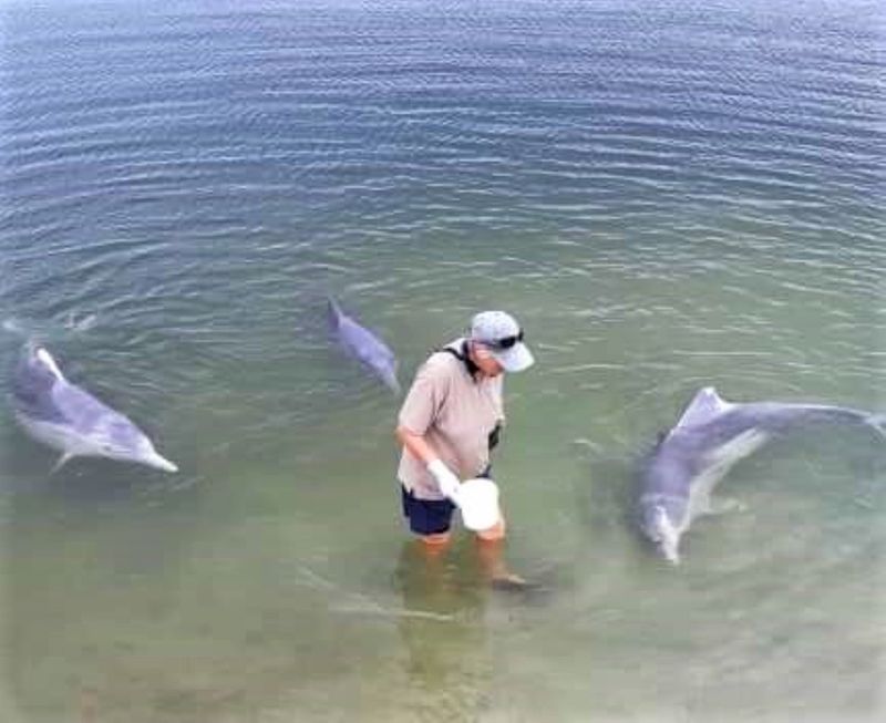 The Tin Can Bay dolphins are waiting for you to revisit soon! Here with one of coordinators Lyn McPherson