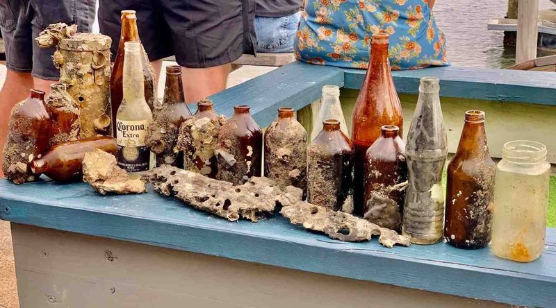 Dolphins - Mystique has been busier than ever this month bringing back all the bottles dumped in the creek at Tin Can Bay Pho