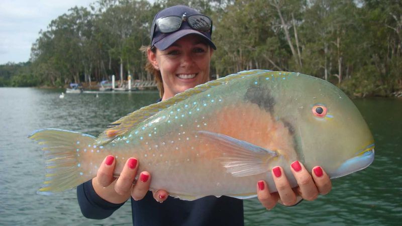 All smiles for Keshia Hilliam- this parrot one of many for the day