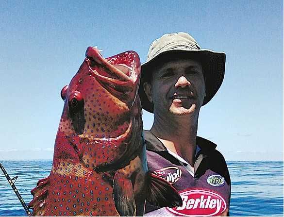 Evan Horton: thrilled with a quality Rainbow Beach coral trout