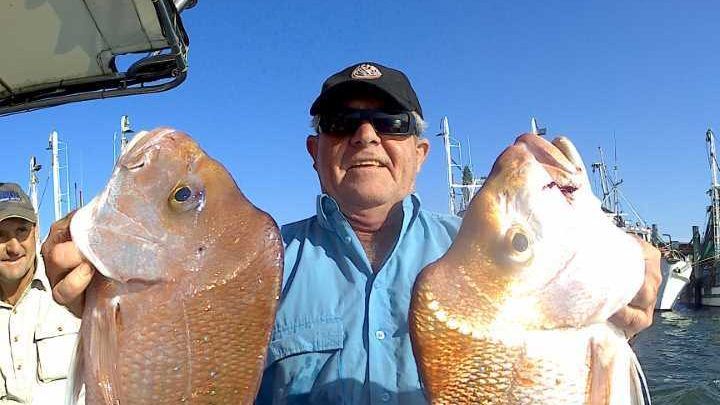 Rick and his family were treated with plenty of quality snapper in mixed bag on board Baitrunner.