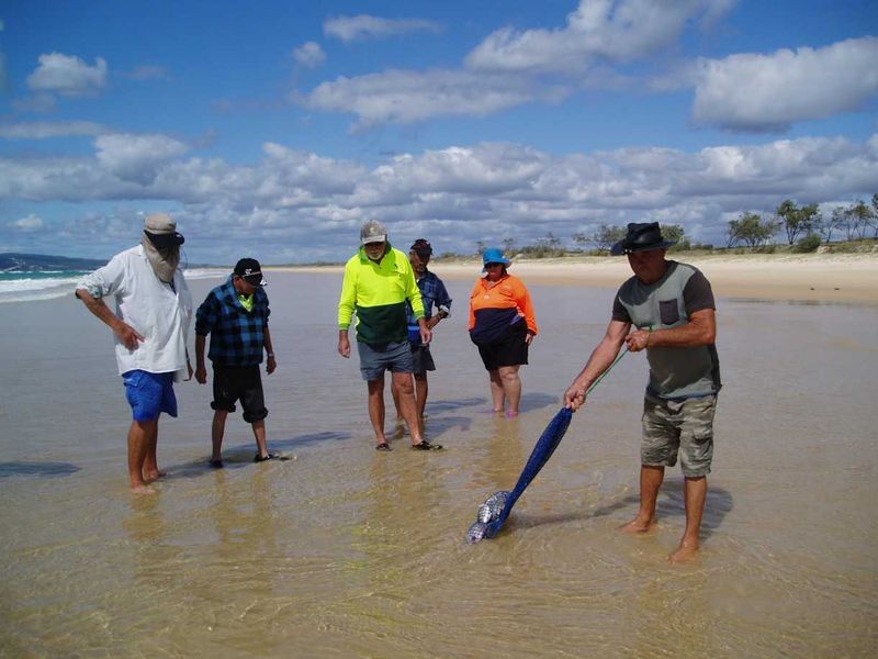 Tin Can Bay Fishing Club members being shown how to catch beach worms with local identity, Slippery Mick