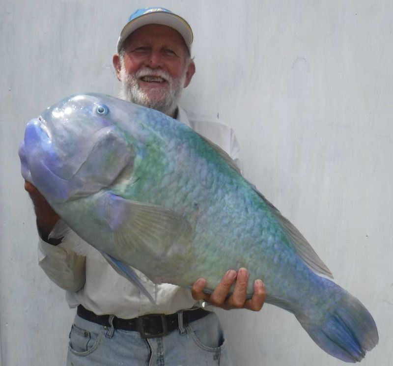 Tin Can Bay Fishing Club member Ron Cox caught this 8.57kg tusk fish - he had a lot to smile about with this one!