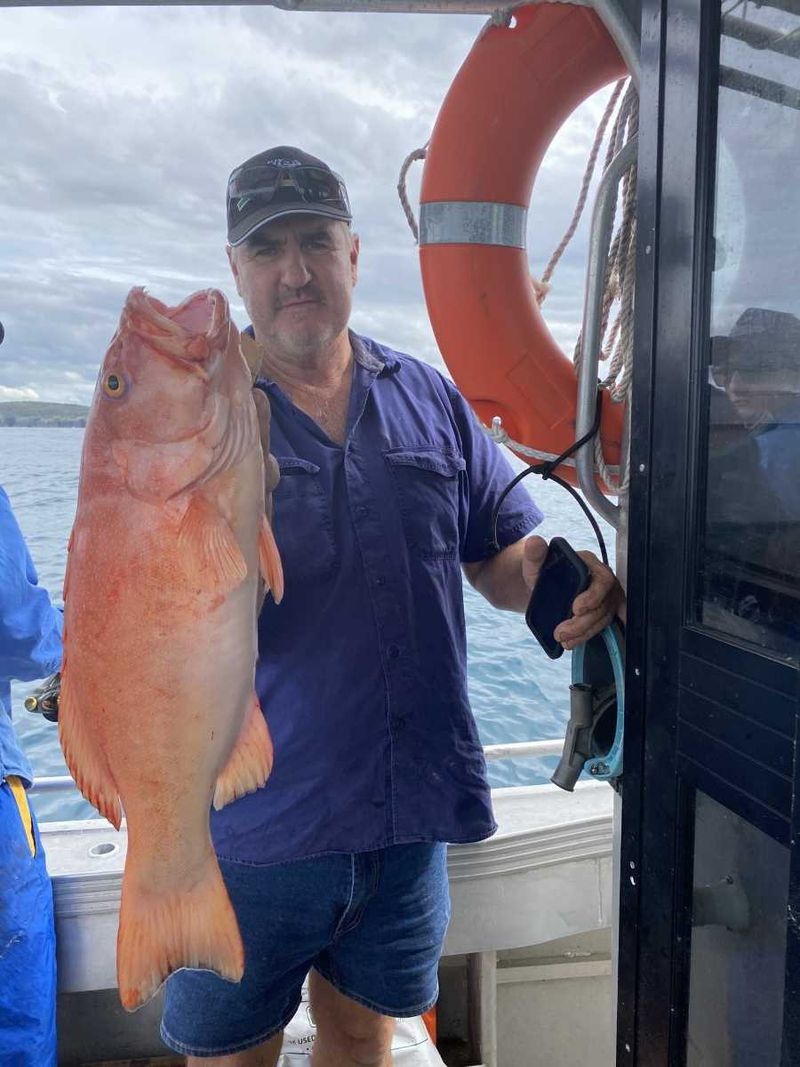 A beautiful Rainbow Beach Coral Trout landed on the Keely Rose