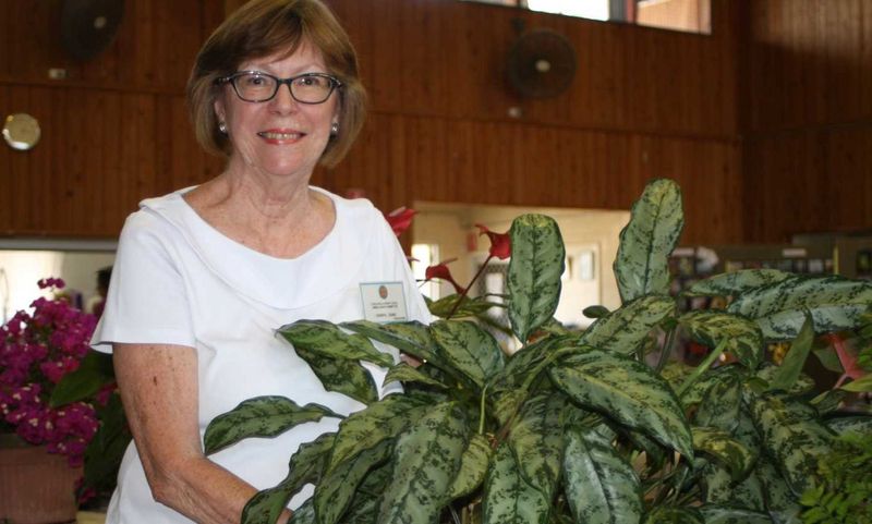 Cheryl Zunic encourages everyone to put in an entry or come along to the annual Flower Show that supports our local Ambulance
