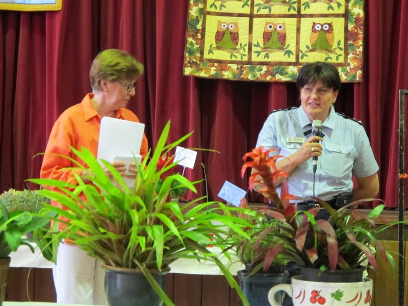 Get ready for the 2013 Flower Show - New Competitions and Awards post image
