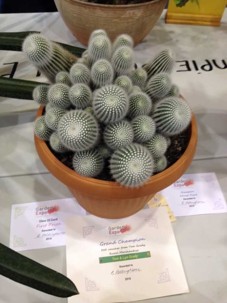 You too could be a Grand Champion like B Polkinghorne