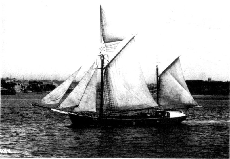 Historical Cooloola - The Florence Peat post image