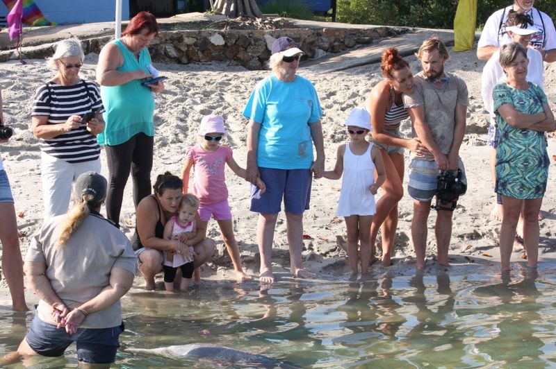 As well as feeding the dolphins and going to the beach - there's loads to do for the school holidays!