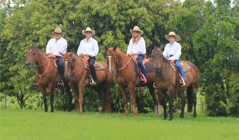 Horse Riding Tours return to Rainbow Beach post image