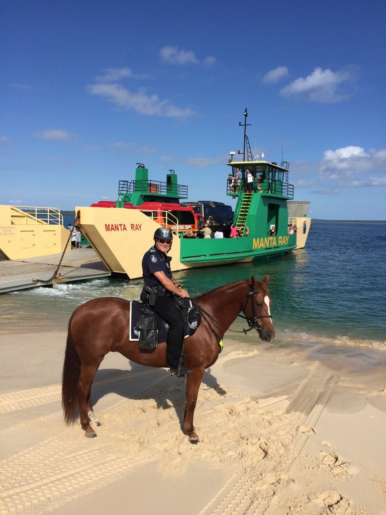 Mounted Unit brought horsepower to Rainbow Beach post image