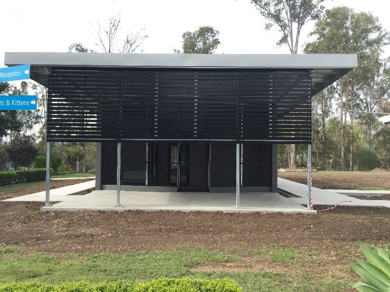 cat adoption facility