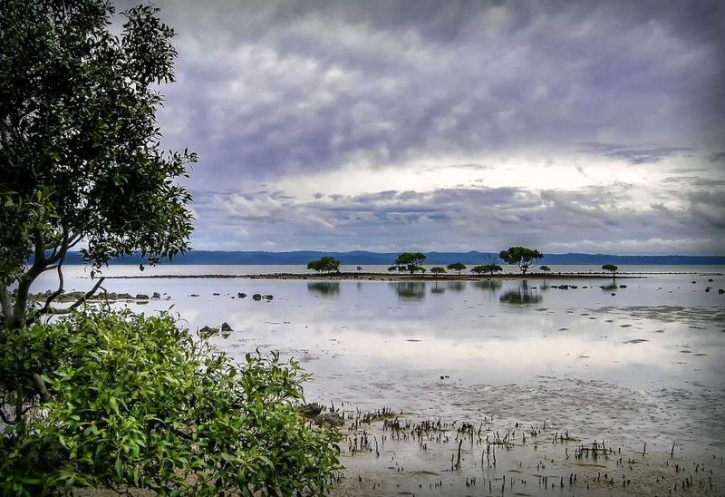Poona Bay Julie Hartwig Photography