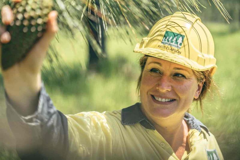 Kate Clapson is responsible for HQP’s annual seed collection
