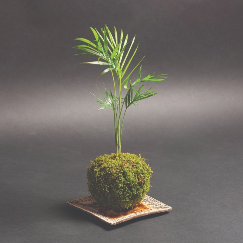 More happening at your local library in September post image