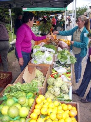 Mary Valley Country Harvest Co-operative