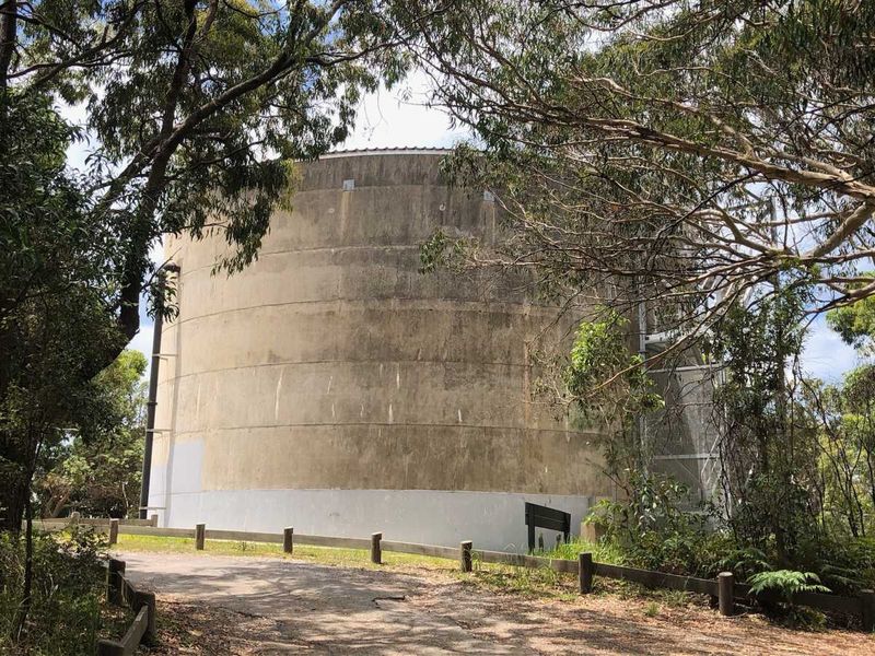 The blank canvas of the water tower awaiting its imminent makeover.