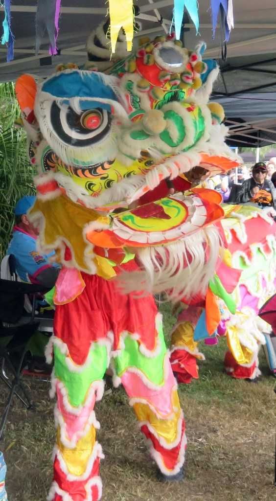 Organisers are keen to host the IRB Ocean Roar carnival in Rainbow Beach again If you haven’t seen Dragon Boat Racing before,