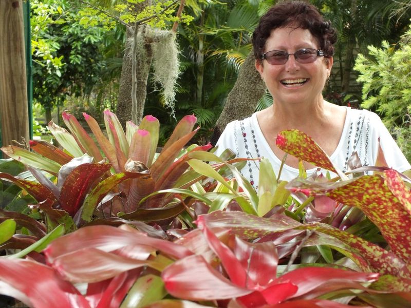 Cooloola Coast Ambulance Flower Show post image
