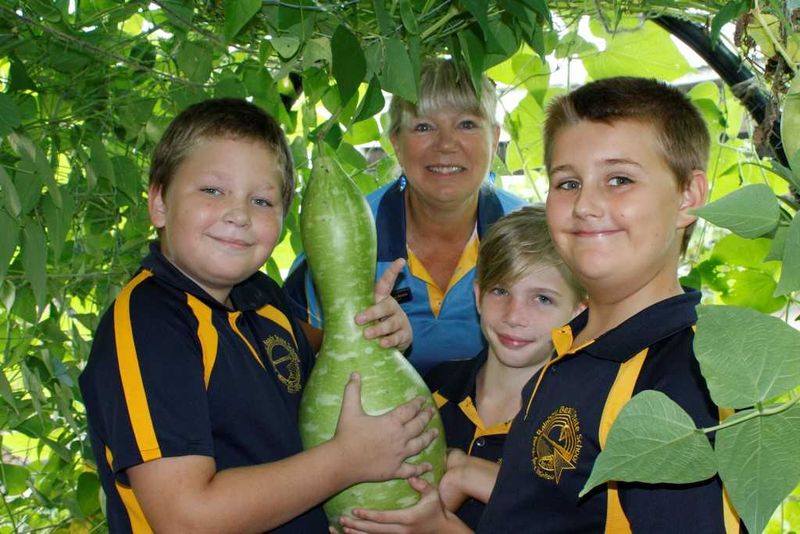 In the living tunnel at Rainbow Beach State School, Mark, Chappy Ronnie, Bailey and Aiden are amazed how the gourd grew over