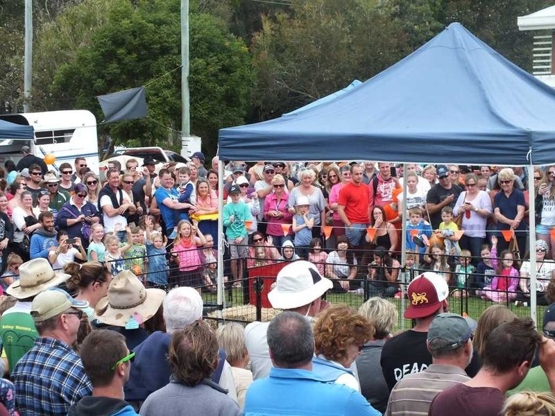 Make sure you come to the Rainbow Beach Pig Day Out at the Community Centre