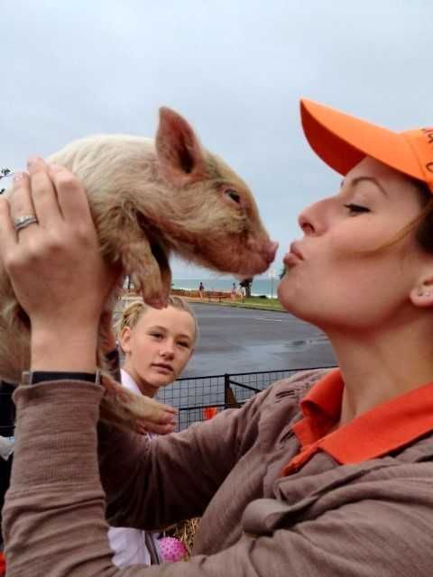 Get ready for the Rainbow Beach Pig Day Out on Saturday June 4