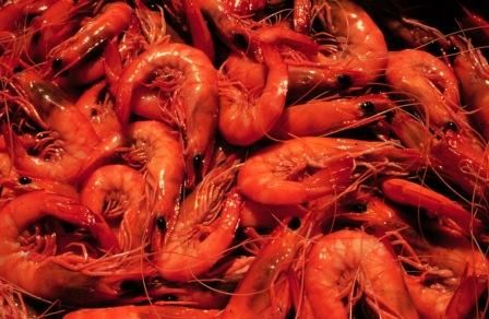 Thank you for helping keep our local prawns and waterways safe post image