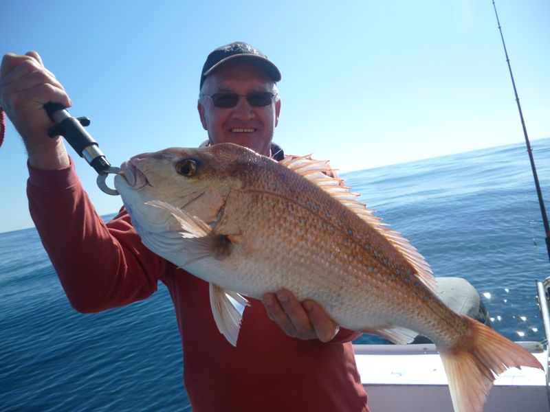 Greg with a quality Snapper. He and a group of old footy team mates from Victoria came up for the week and took home three bi