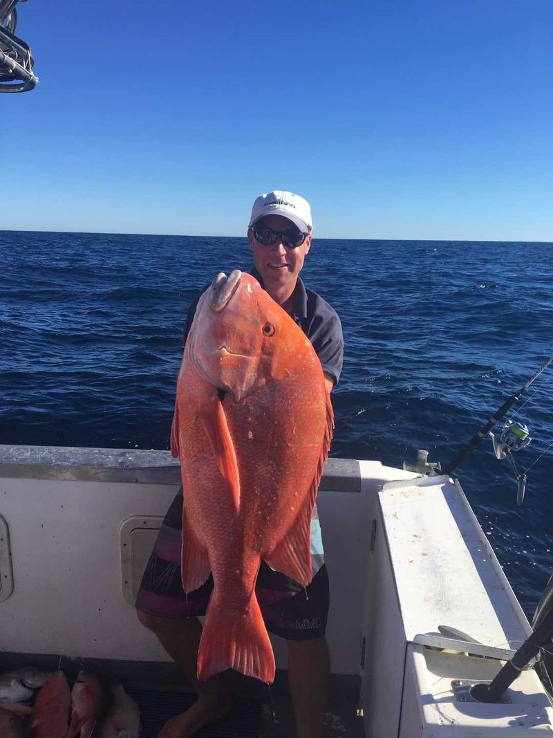 Mat’s big red emperor