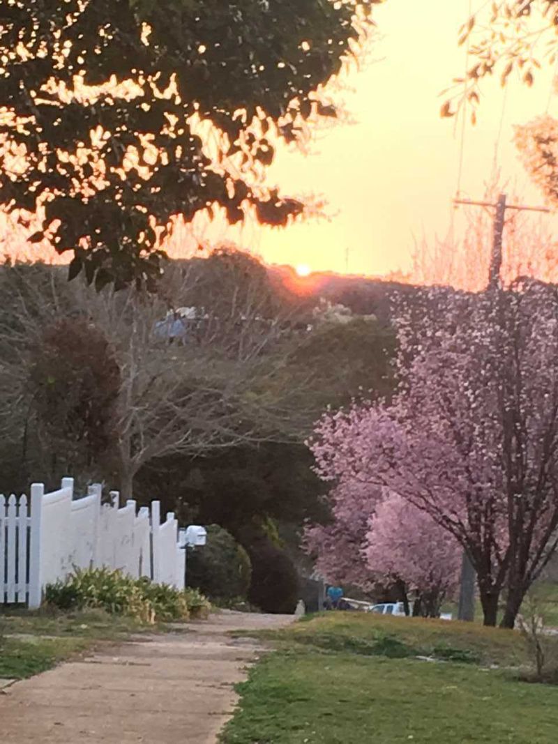 Saturn Antennas’ Peter and Margaret visited Molong, NSW and recommend you do, too!