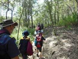 scouts for cooloola coast