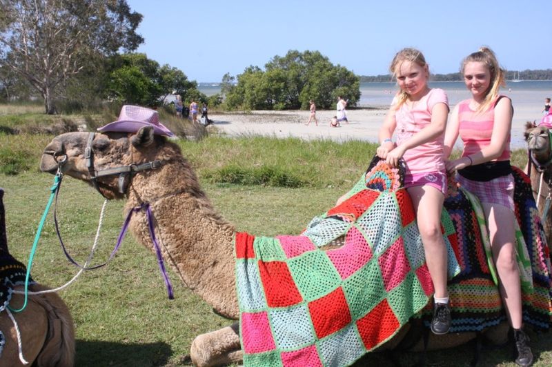 Prawns, glorious prawns! post image