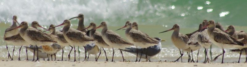 World Wetlands Day post image