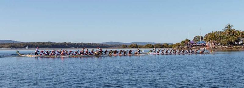 Dragon Doat Regatta - image by Julie hartwig